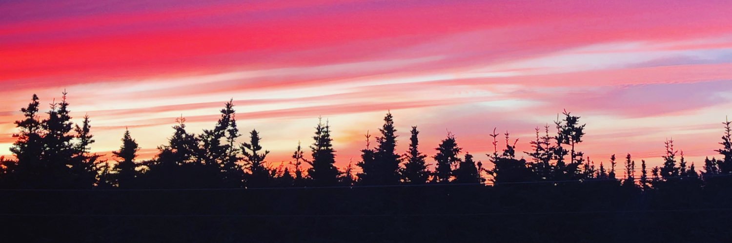 melanielwalker's profile banner image