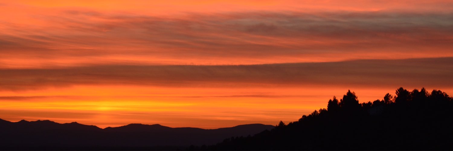 TheCarrulo's profile banner image