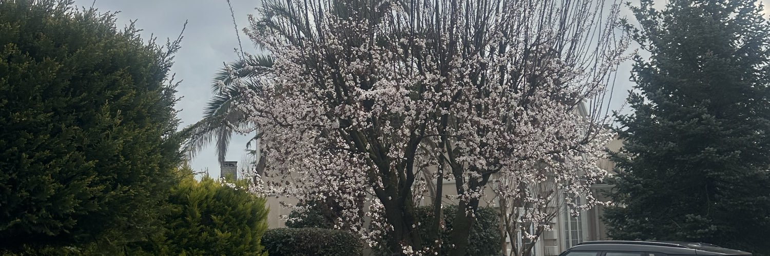 ebruberkan's profile banner image