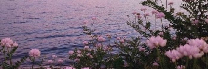 Rabiyayup's profile banner image