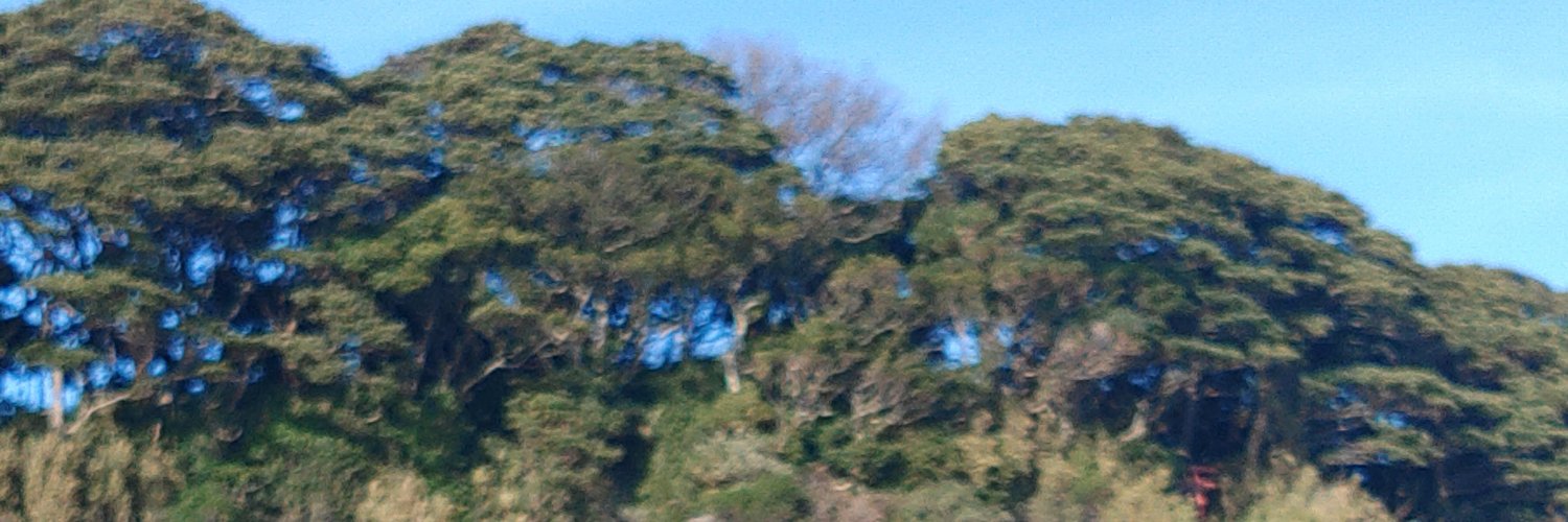 azuaoki's profile banner image