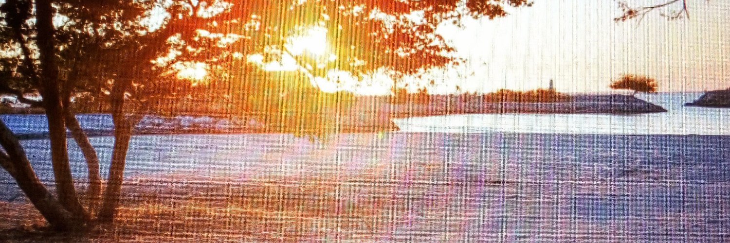 Lyrics4YouNow's profile banner image