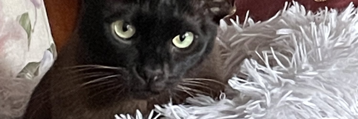MargB's profile banner image