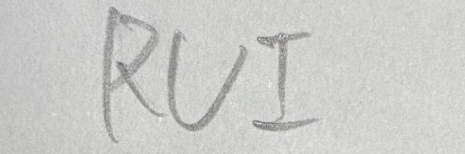 skryurui's profile banner image