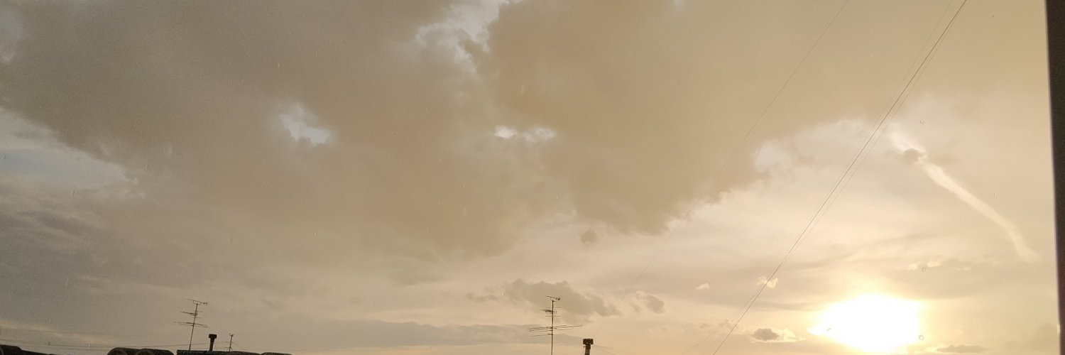 Shellov8ei's profile banner image