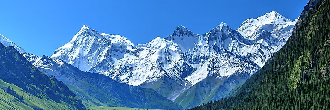 willy0611's profile banner image