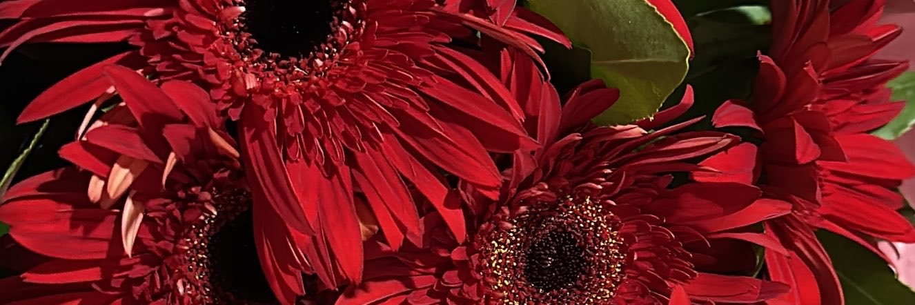 winehousee1's profile banner image