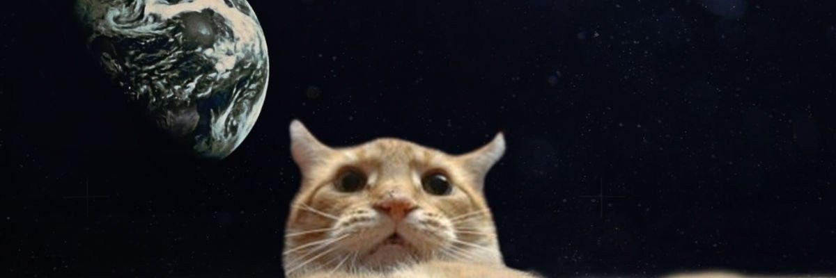 LeotardDevil's profile banner image