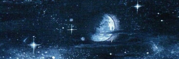 rottenSedi's profile banner image