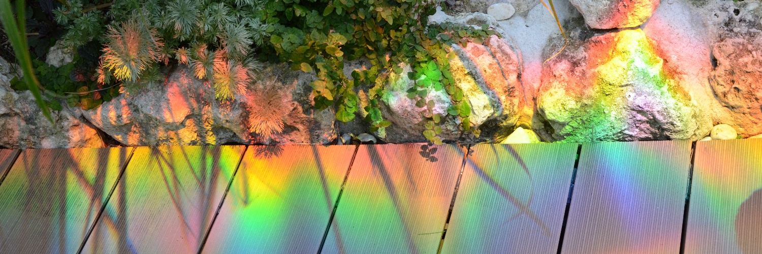 cot_not's banner