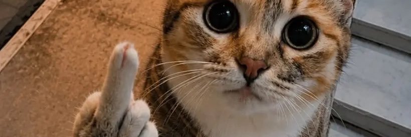 Garnachox26's profile banner image