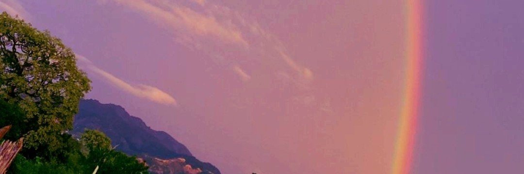 MalteadaDextpl's profile banner image