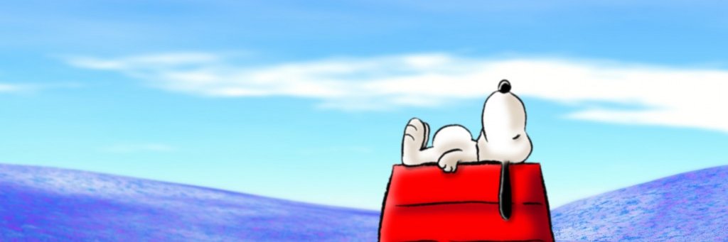 lucypcat's profile banner image