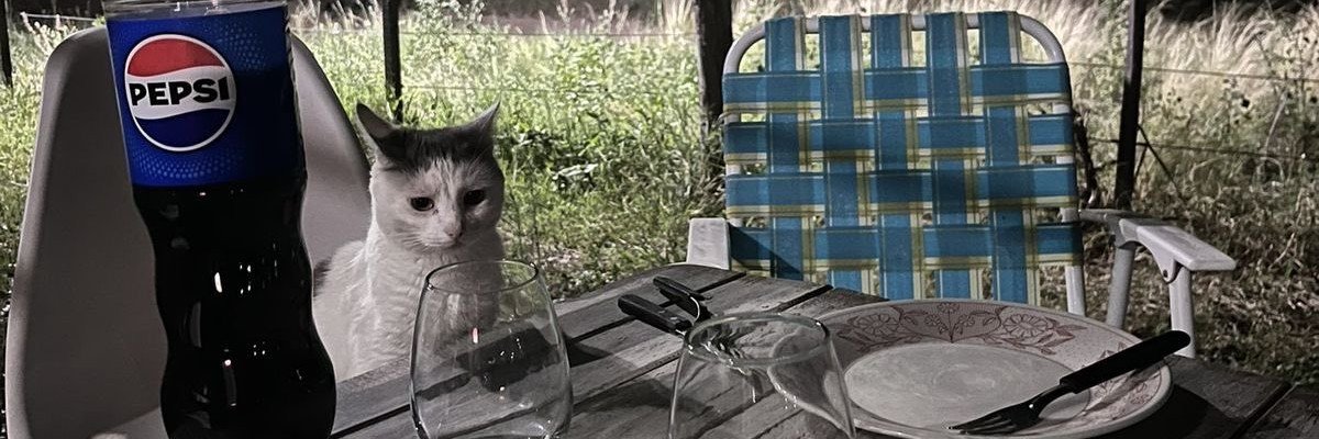 Adimaanav23's profile banner image
