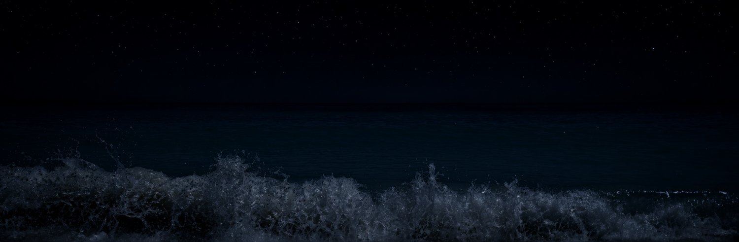 viperduck2's profile banner image