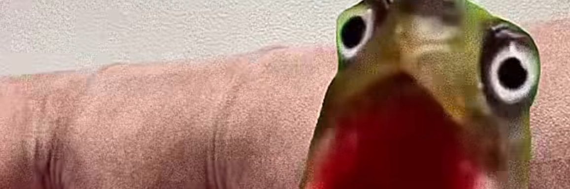 Bruh_ReLe's profile banner image