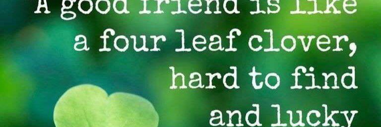 @adepython(Eebudola) banner