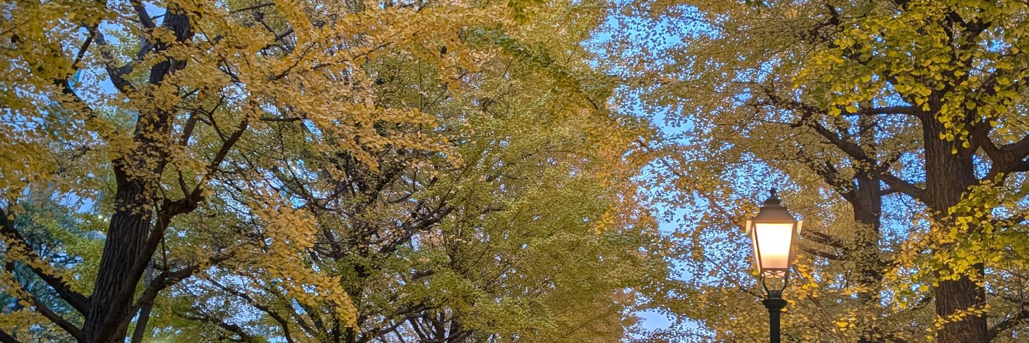 nihonbashikoala's profile banner image