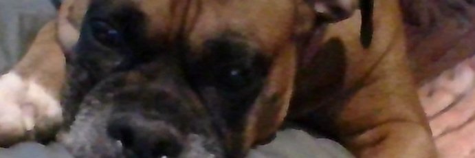 Alexa1221111's profile banner image