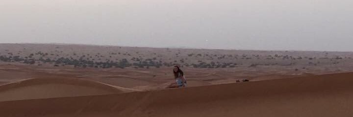 Michelle Ford banner