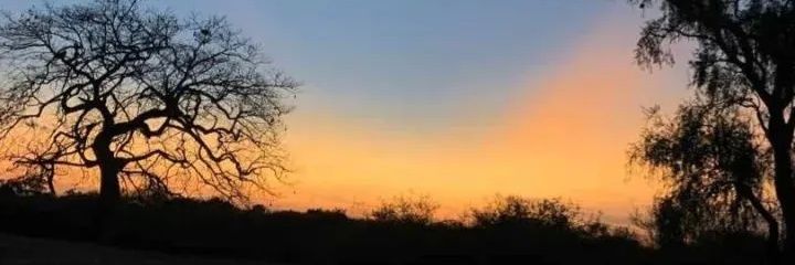 richar_jara's profile banner image