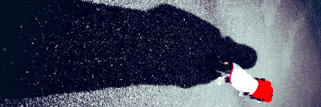 pudrey_plum's profile banner image