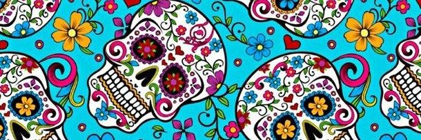 tashaacoyle's profile banner image
