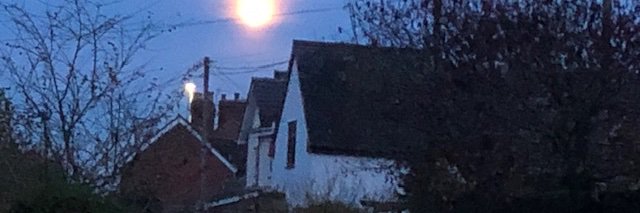 Sarah Thewlis banner