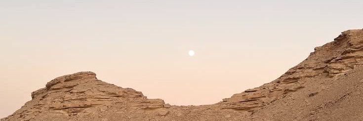 TheLadyNym's profile banner image