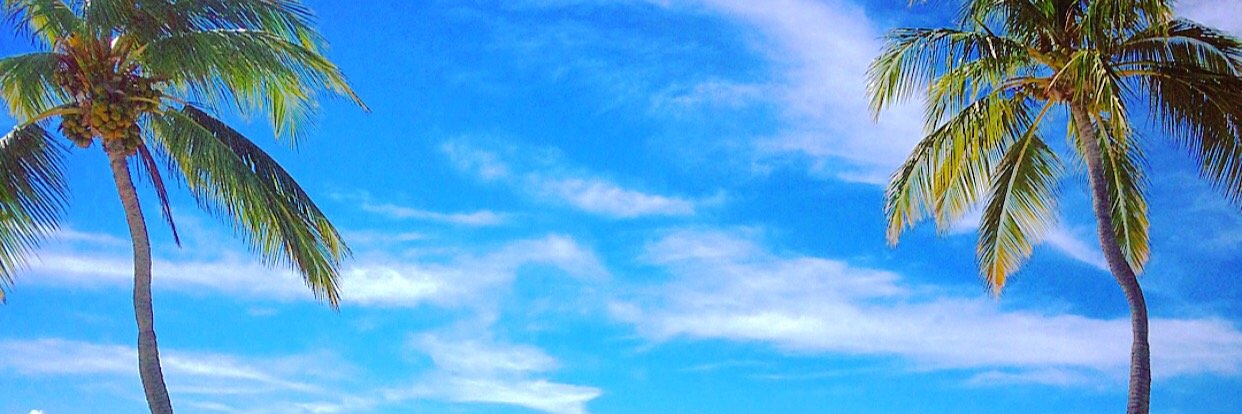 EarlHoward's profile banner image