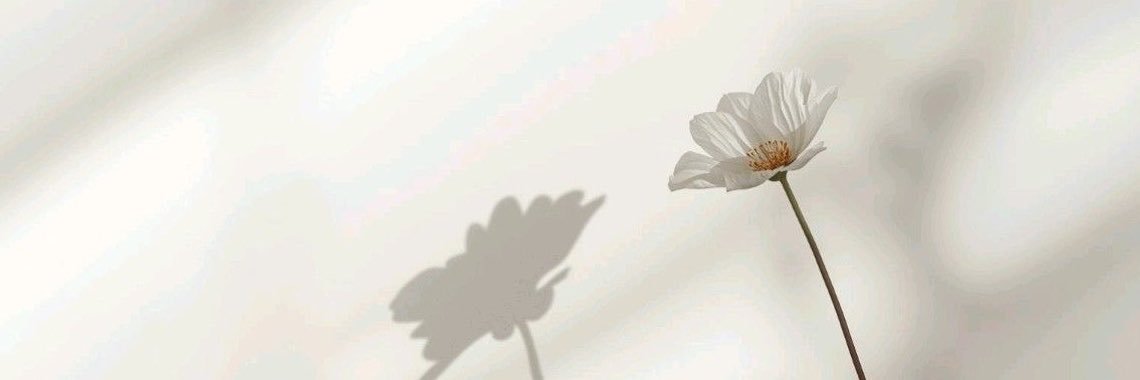 zja1ru's profile banner image
