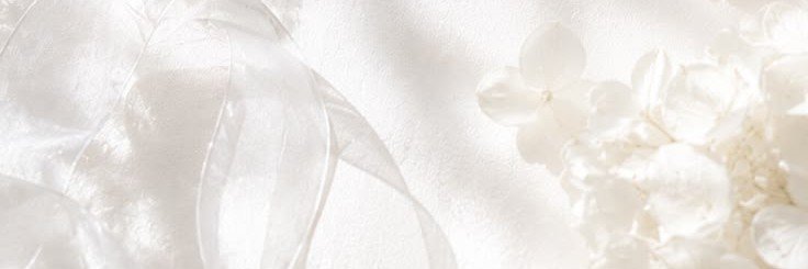 hadakan_ri's profile banner image