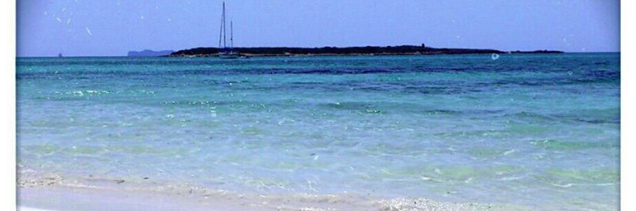 TERE_PELOLA's profile banner image