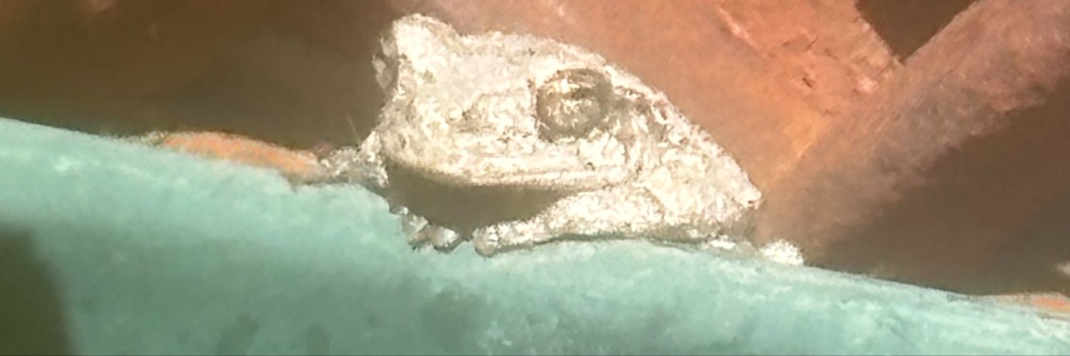MJB7033's profile banner image