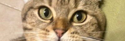 reznum22's profile banner image