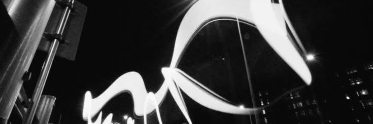 coerpulse's profile banner image