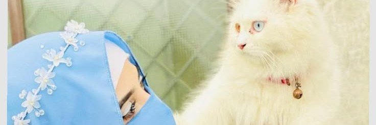 totiniceo's profile banner image