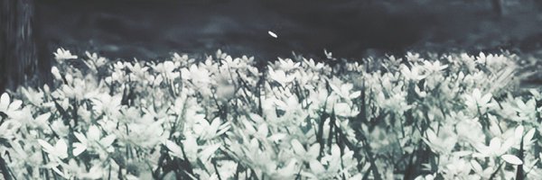 digitalral Profile Banner
