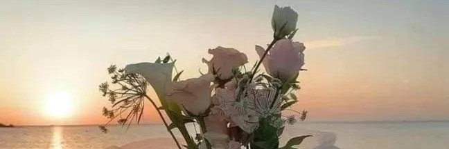 ahmednec2's profile banner image