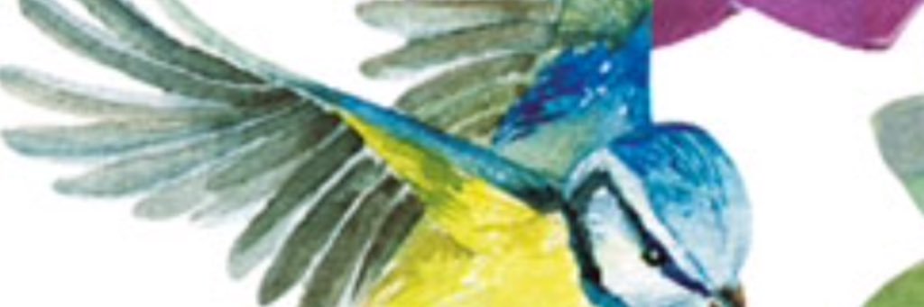 sergiocamelia's profile banner image