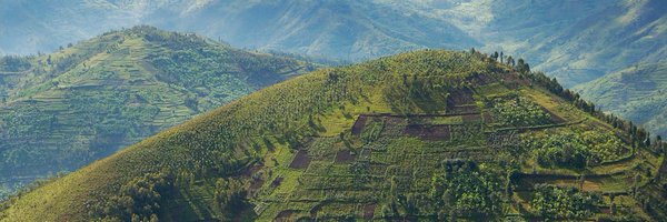 WCoffeeResearch Profile Banner