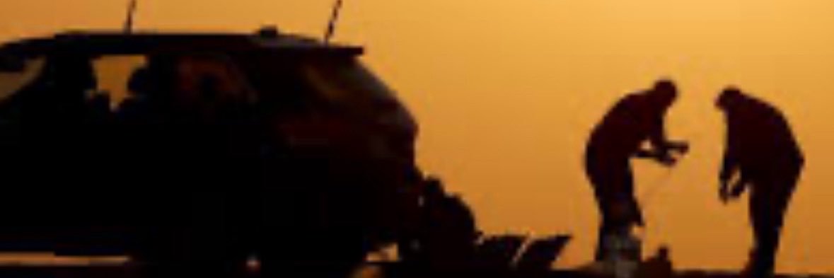 mnbiop5's profile banner image