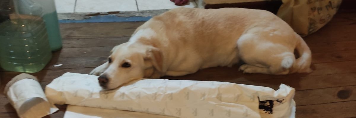 sfloresa87's profile banner image