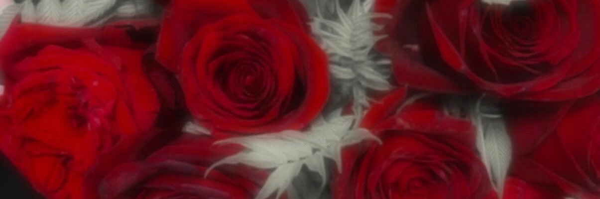89mo_pk's profile banner image