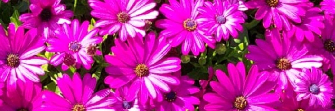 MAS_GEO's profile banner image