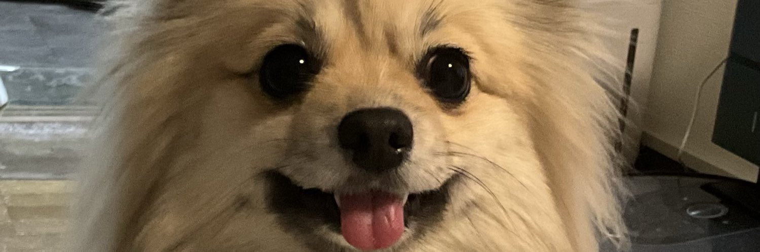vprjct's profile banner image