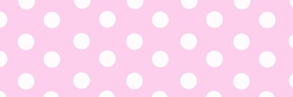 toyfien's profile banner image