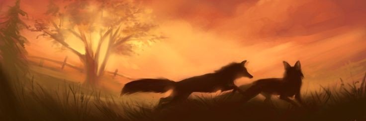 olwfoxy's profile banner image