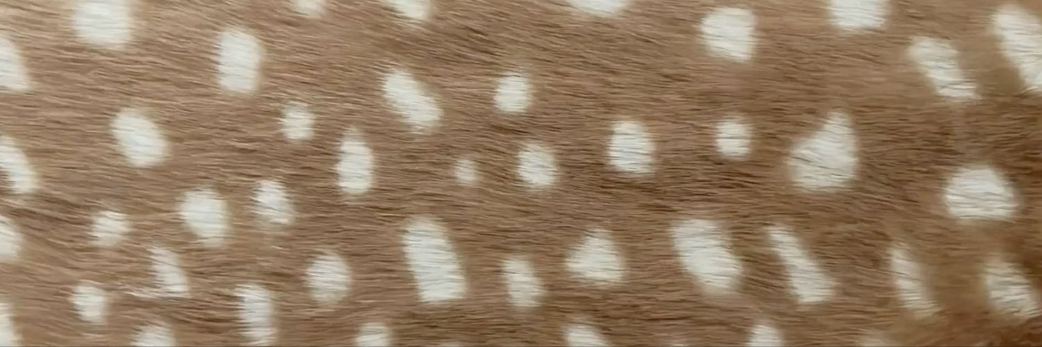 ninxzt's profile banner image