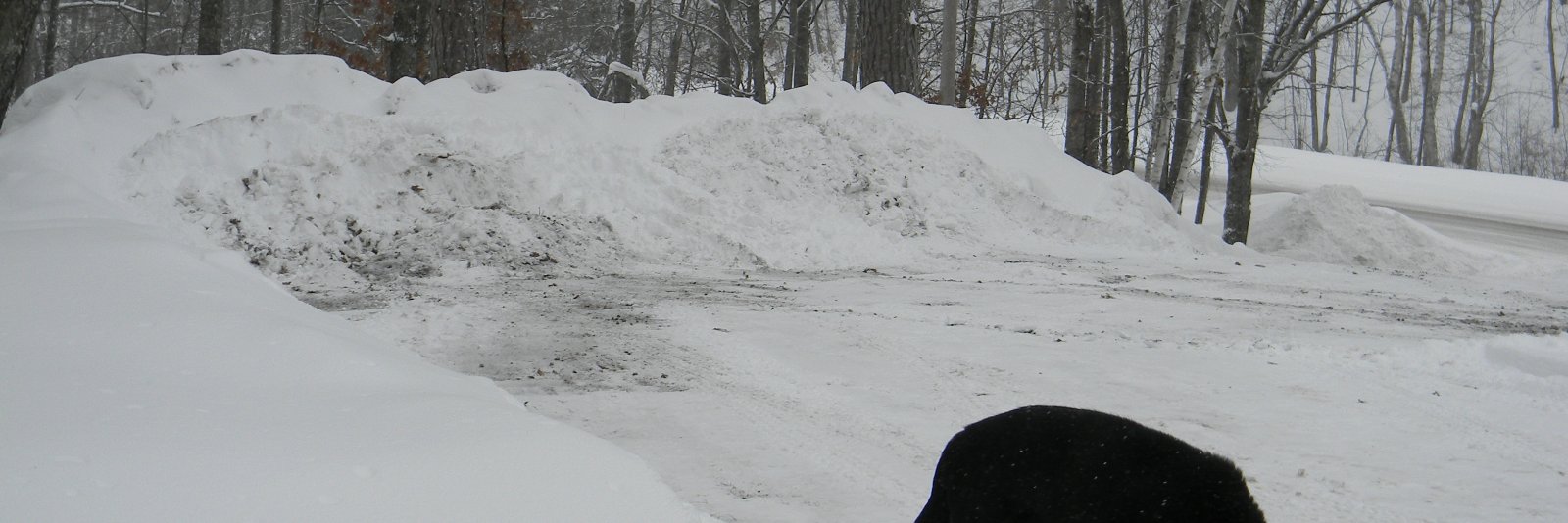 thevilla's profile banner image